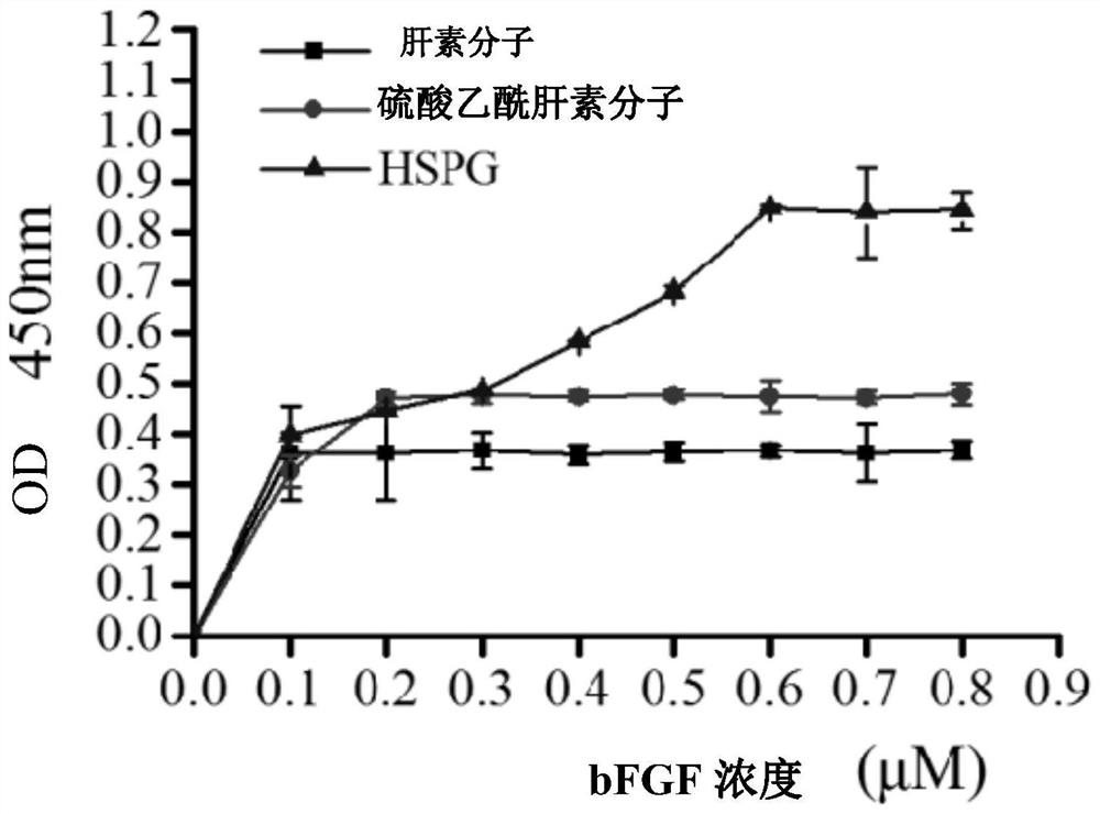 Bioactive material capable of efficiently combining and stimulating bFGF activity function and application