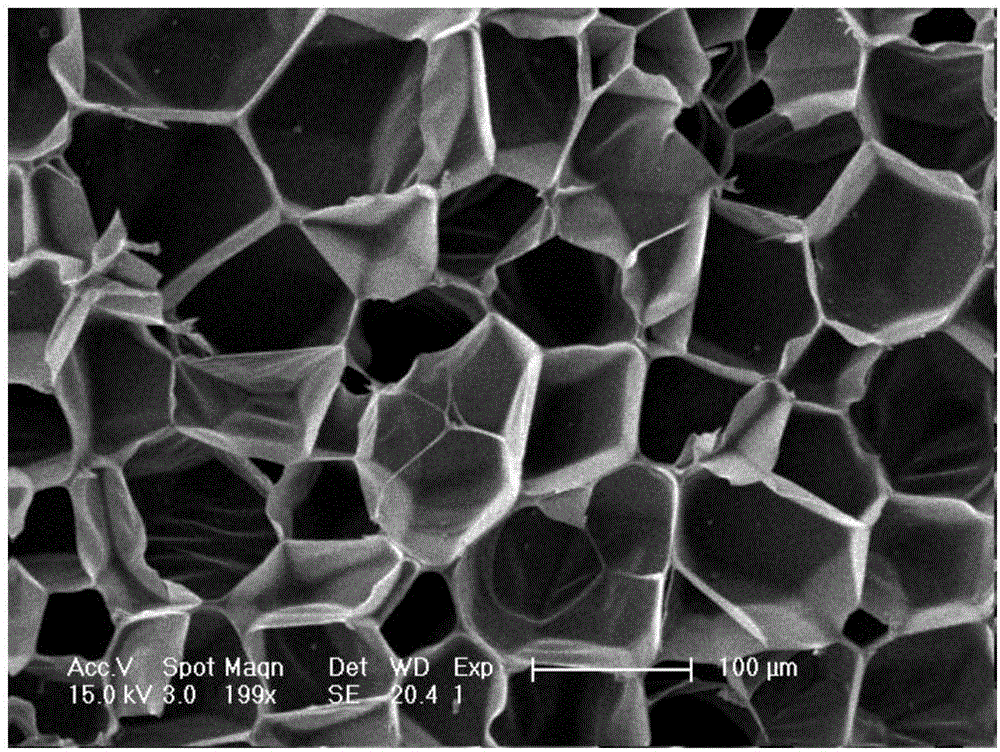 Phenolphthalein polyarylether ketone foam material and preparation method thereof