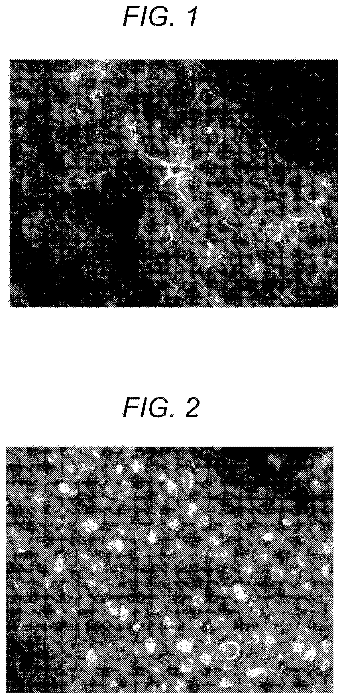 Method for evaluating surface state of particles, and evaluation system