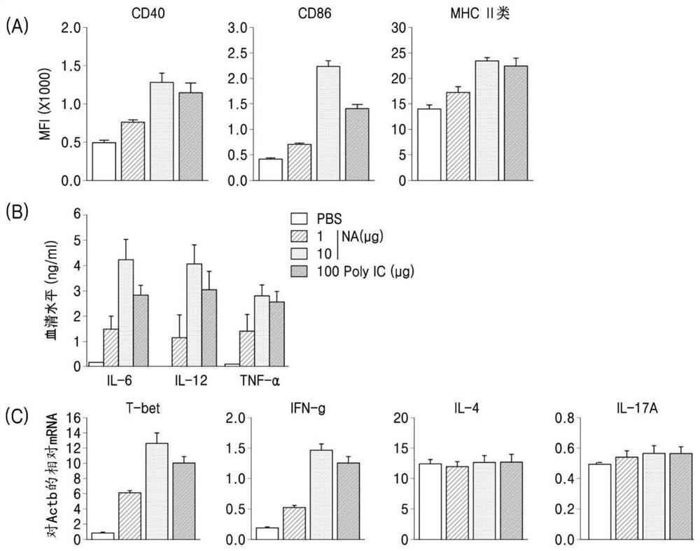 Novel ribonucleic acid and pharmaceutical composition based on same