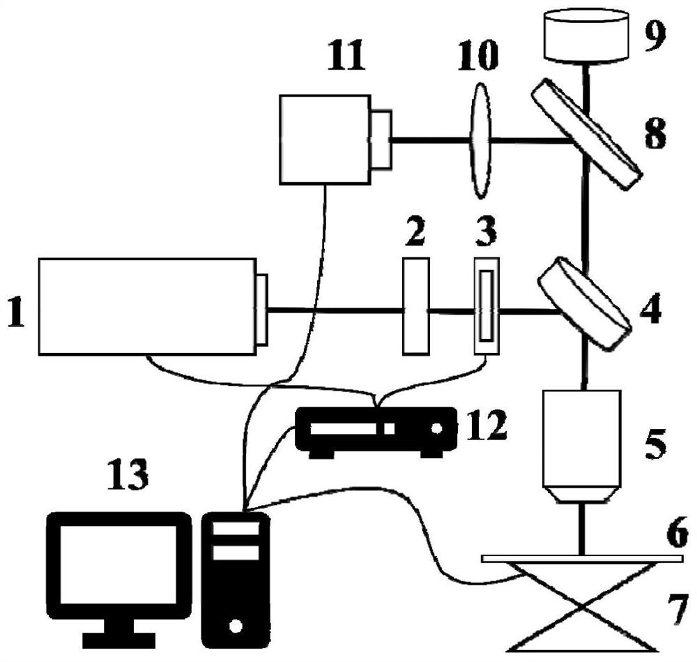 Method and system for processing nanocone arrays on silk film using femtosecond laser