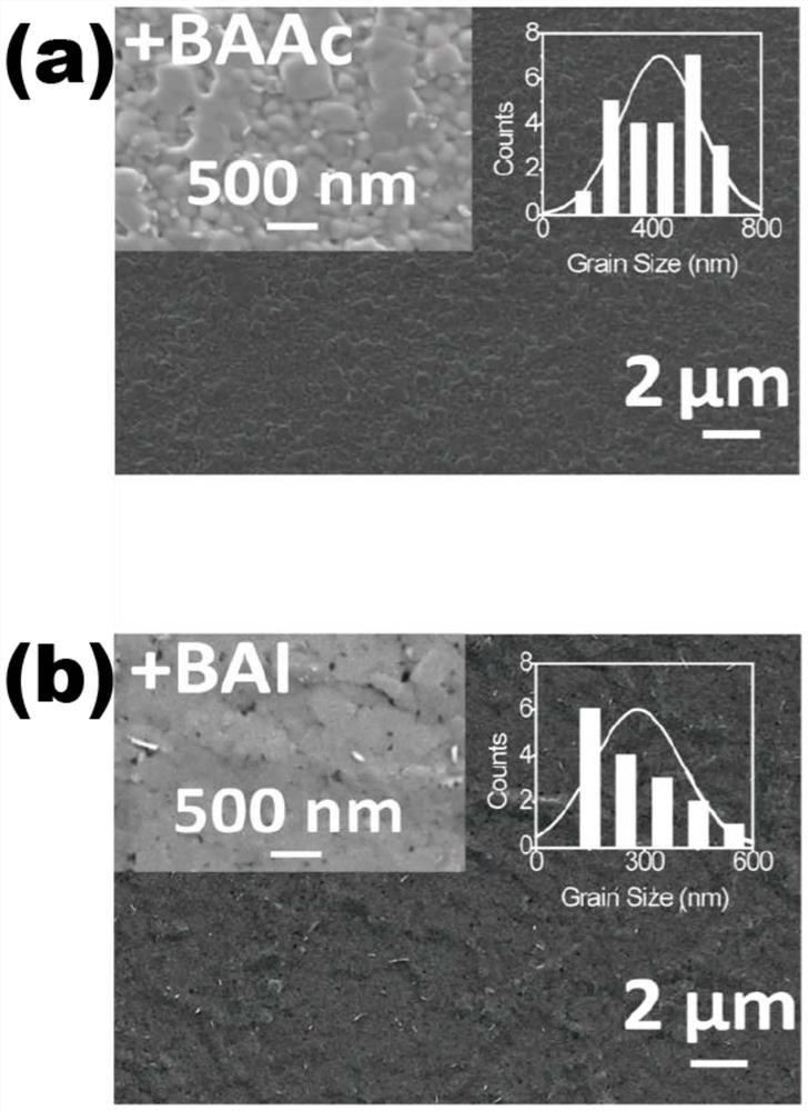 Low-dimensional tin-based perovskite thin film prepared from ionic liquid type organic large-volume amine molecular salt as well as solar cell and application of low-dimensional tin-based perovskite thin film