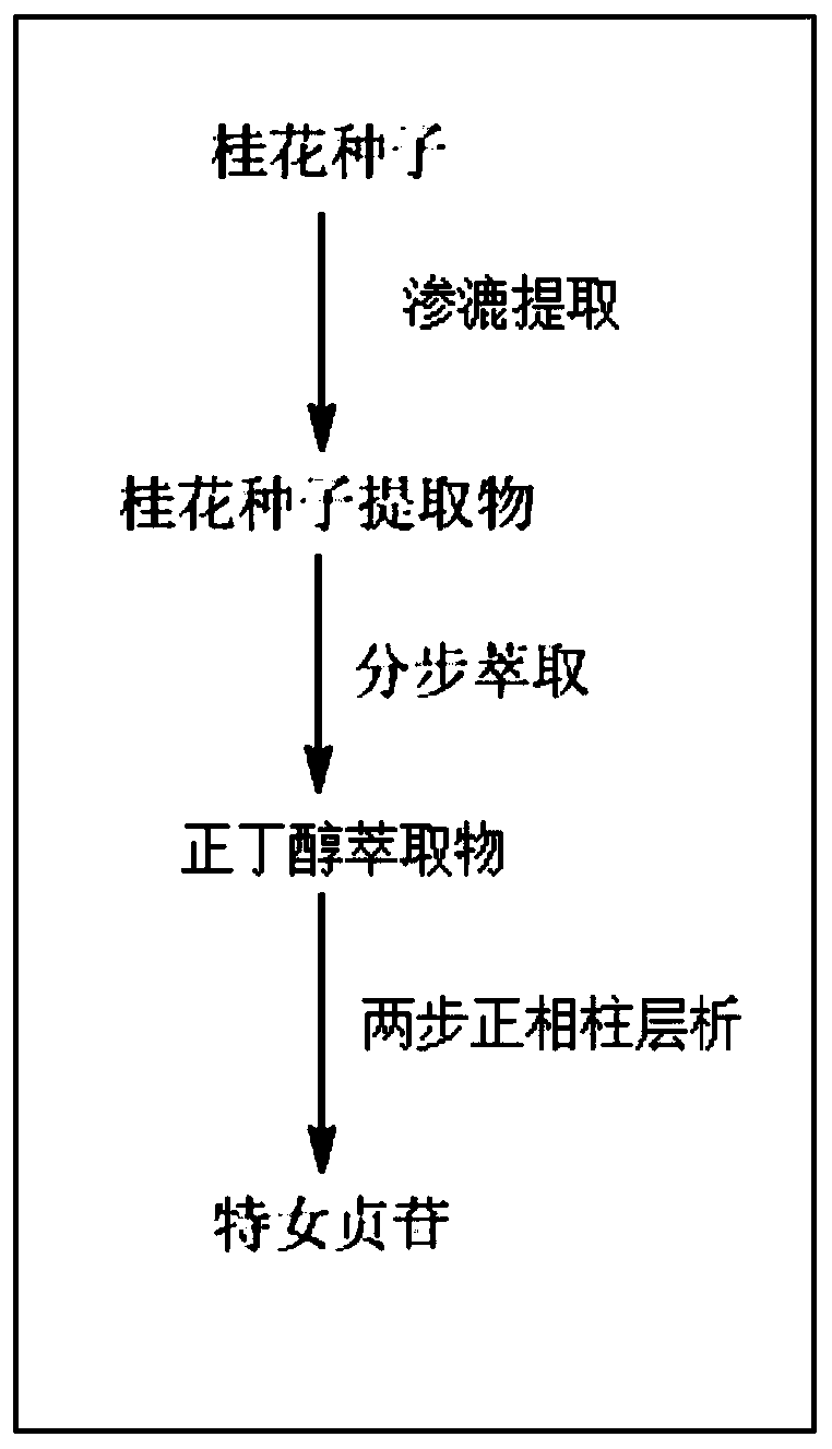 Preparation method of specnuezhenide, and specnuezhenide and application of preparation method