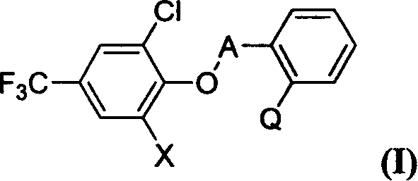 Substituted p-trifluoromethyl phenyl ether compound and its prepn and application