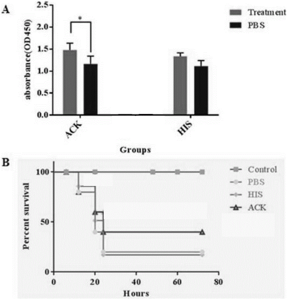 Application of protein of high-pathogenicity staphylococcus hyicus to subunit vaccine