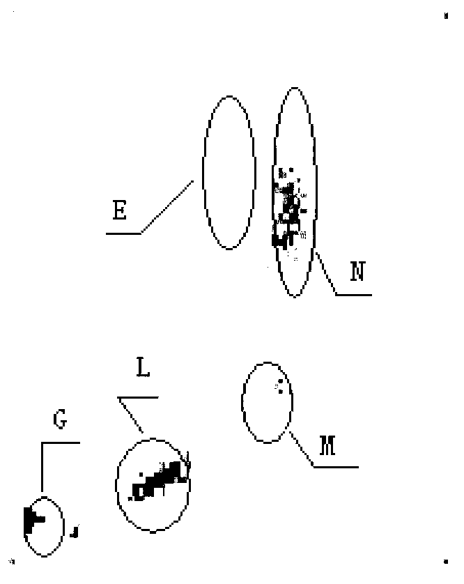 Leukocyte classification hemolytic agent and kit thereof