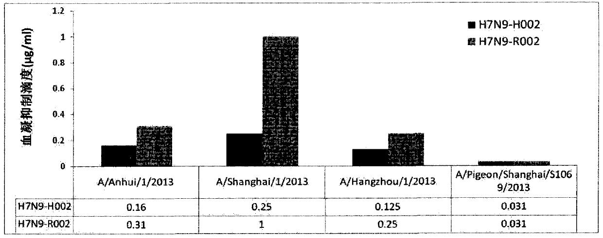 Antibody neutralizing human infected H7N9 influenza A virus and use thereof