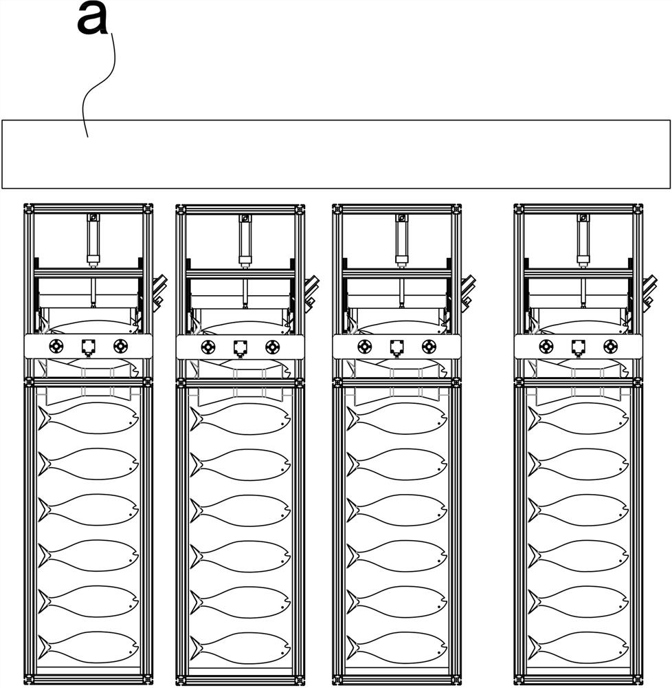 A cross-rolling fish brain extraction line