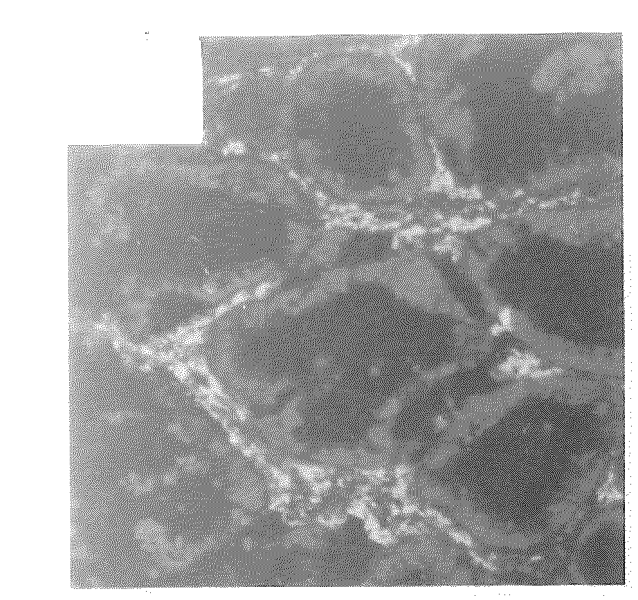 Methods of treatment using wisp polypeptides