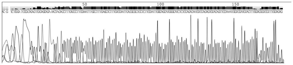 Kit and special primer for detecting GI.1 type norovirus in clinical sample