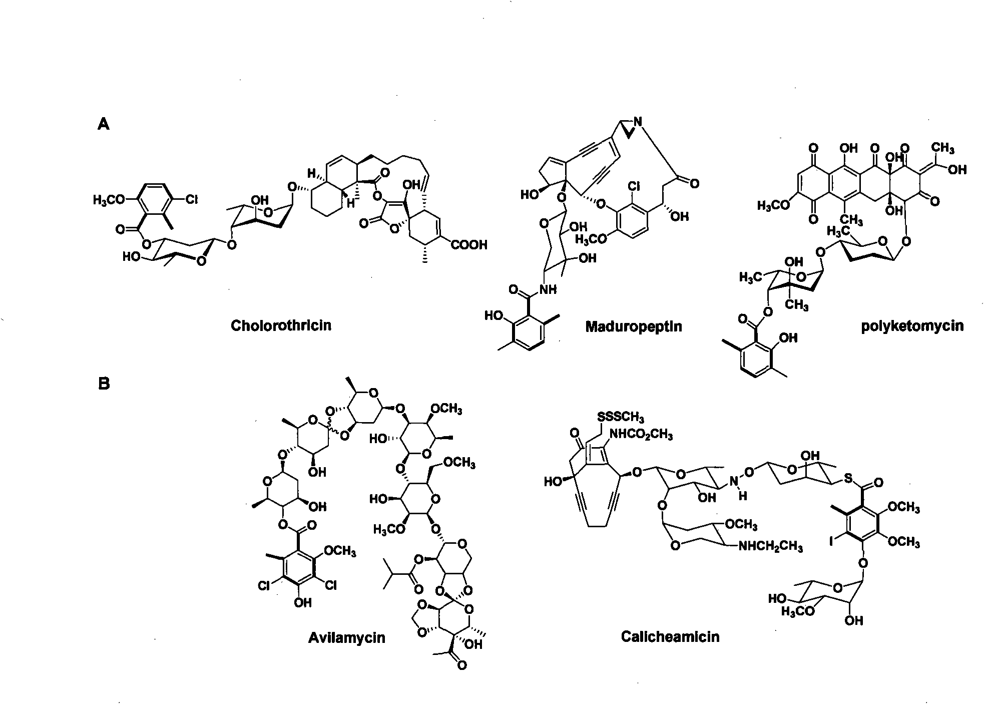 6-methy salicylic acid synthetase transformed by genetic engineering and combinatorial biosynthesis of spirocyclic acetoacetic acid lactone antiboitic