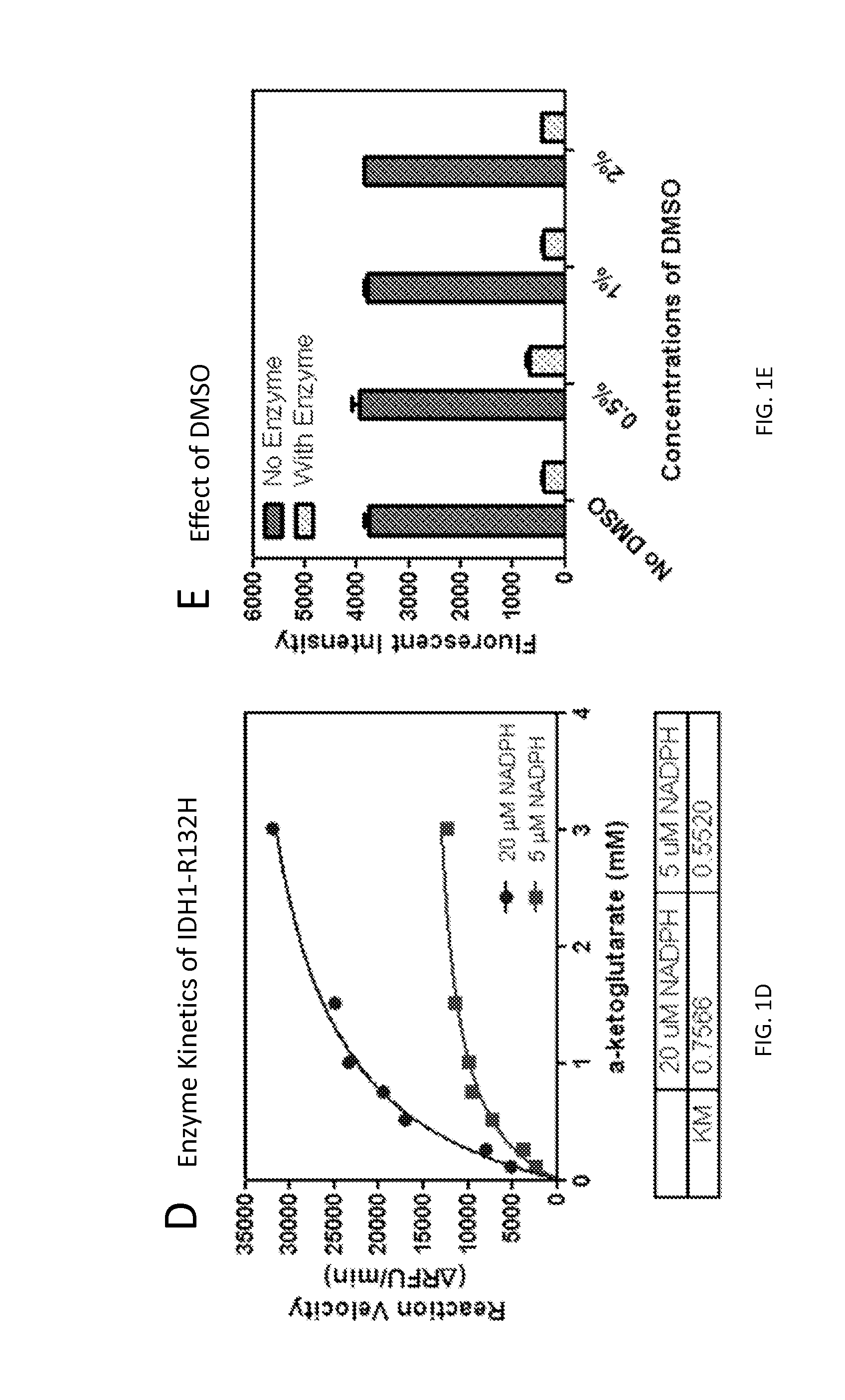 Compounds and methods for the treatment of isocitrate dehydrogenase related diseases