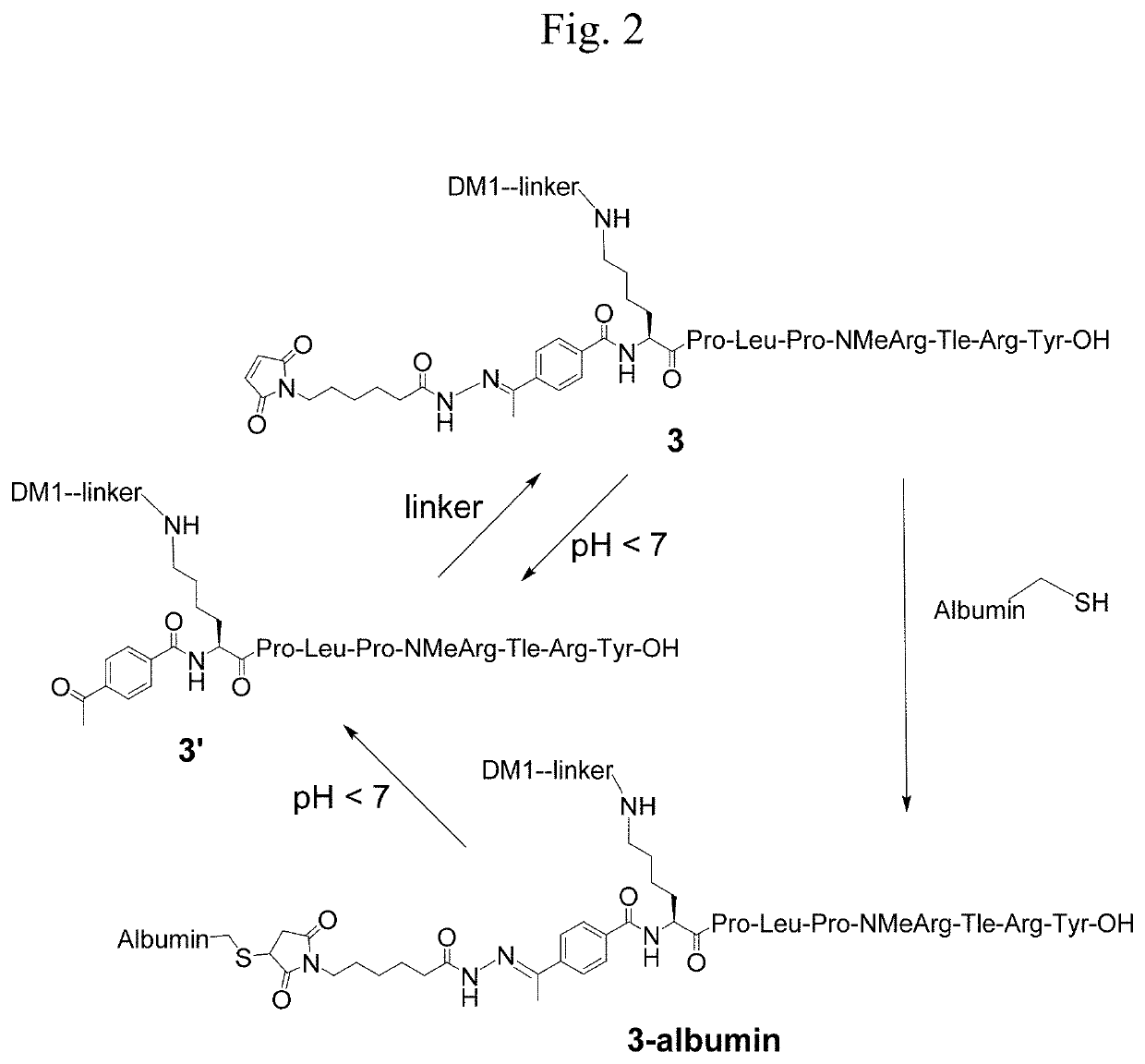 Targeted constructs and formulations thereof