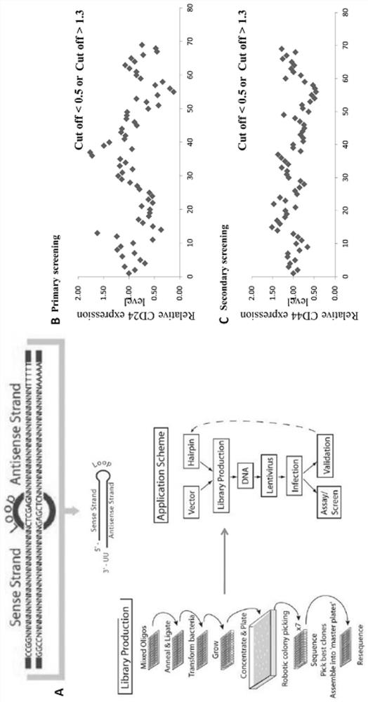 Application of arginine methyltransferase 3 in breast cancer diagnosis and treatment