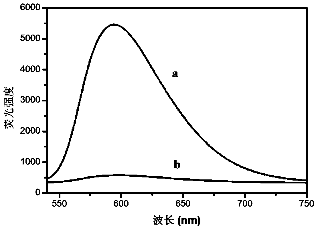 Detection method for high-precision detection of volatile organic compounds