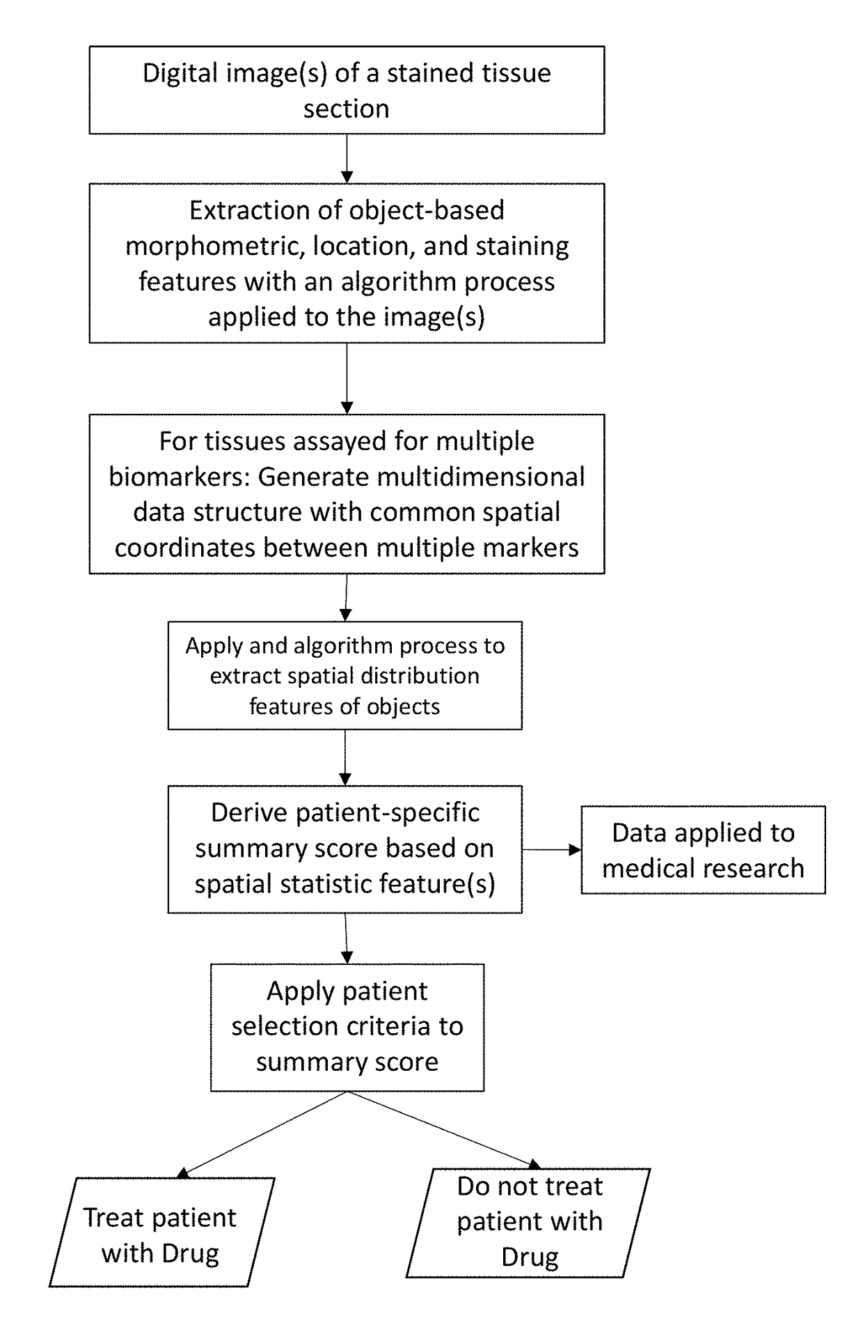 Method for scoring pathology images using spatial analysis of tissues