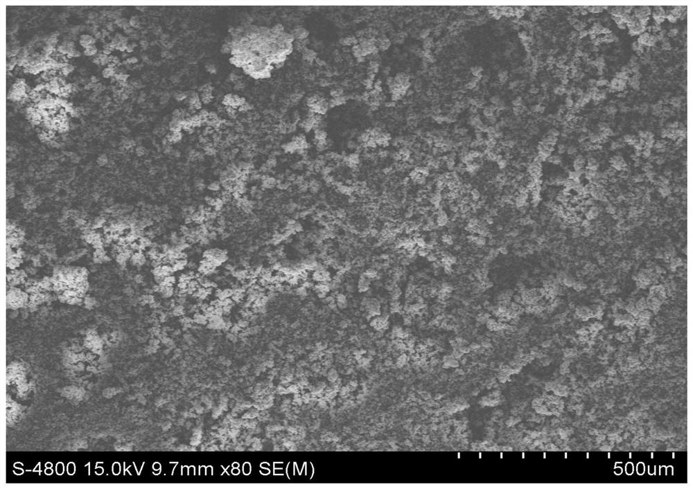 Preparation method and application of diquat molecularly imprinted polymer microspheres