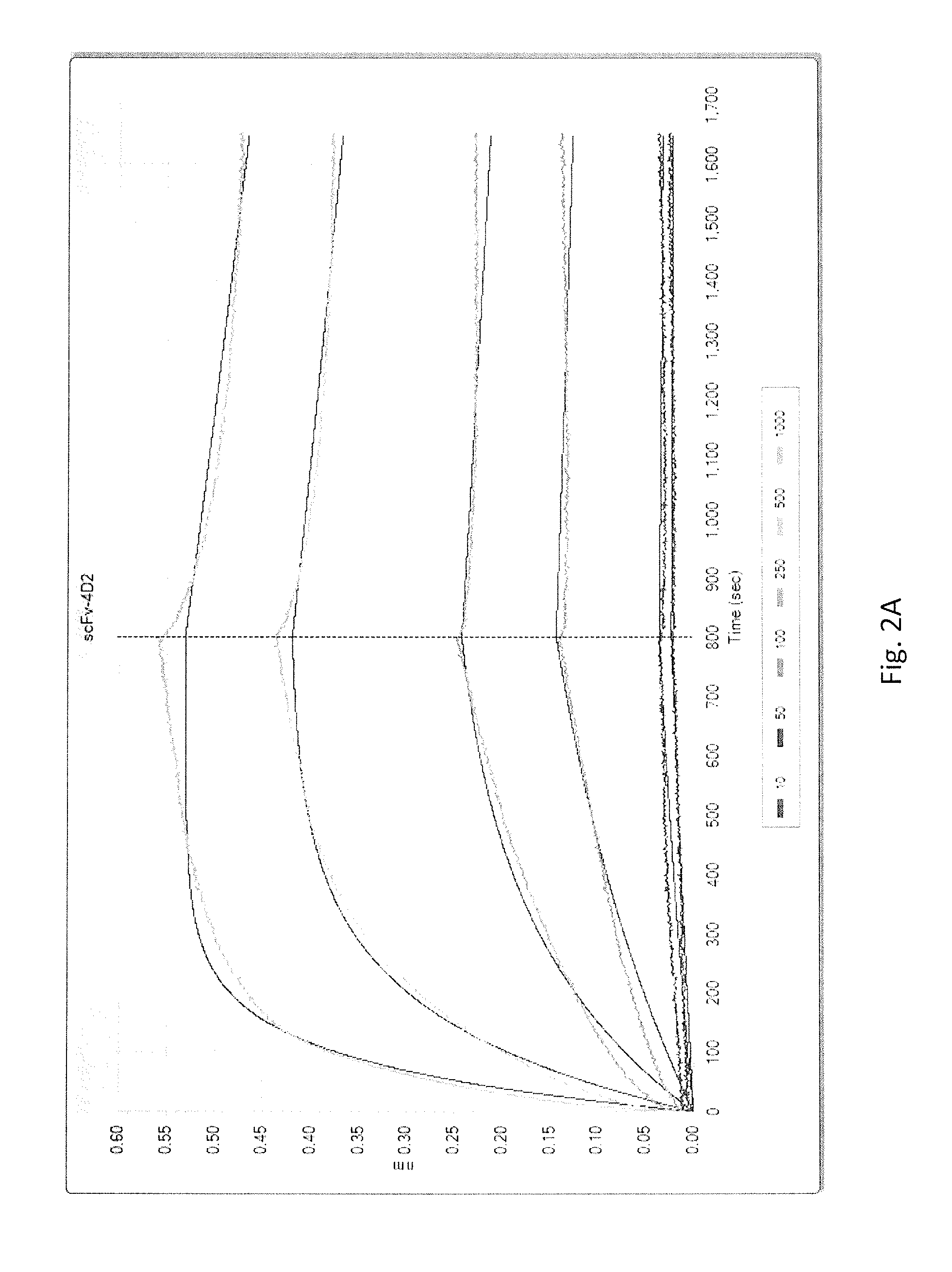 Antibodies that specifically bind to serum albumin without interfering with albumin's capability to interact with the fcrn