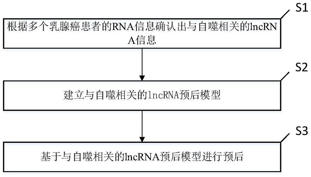 Breast cancer prognosis evaluation method and system based on autophagy related lncRNA model