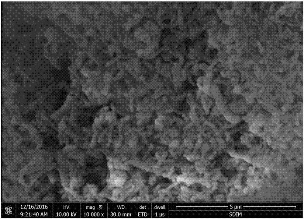 Surface in-situ modified polyquaternary ammonium functional group mesoporous silicon dioxide material, as well as a preparation method and application thereof