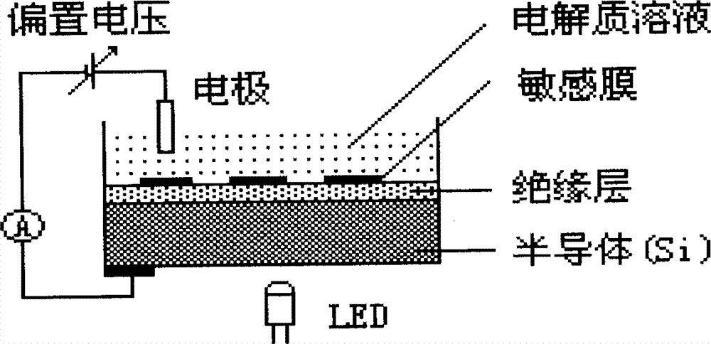 Light addressing molecular imprinting array sensor for distinguishing residual pesticides