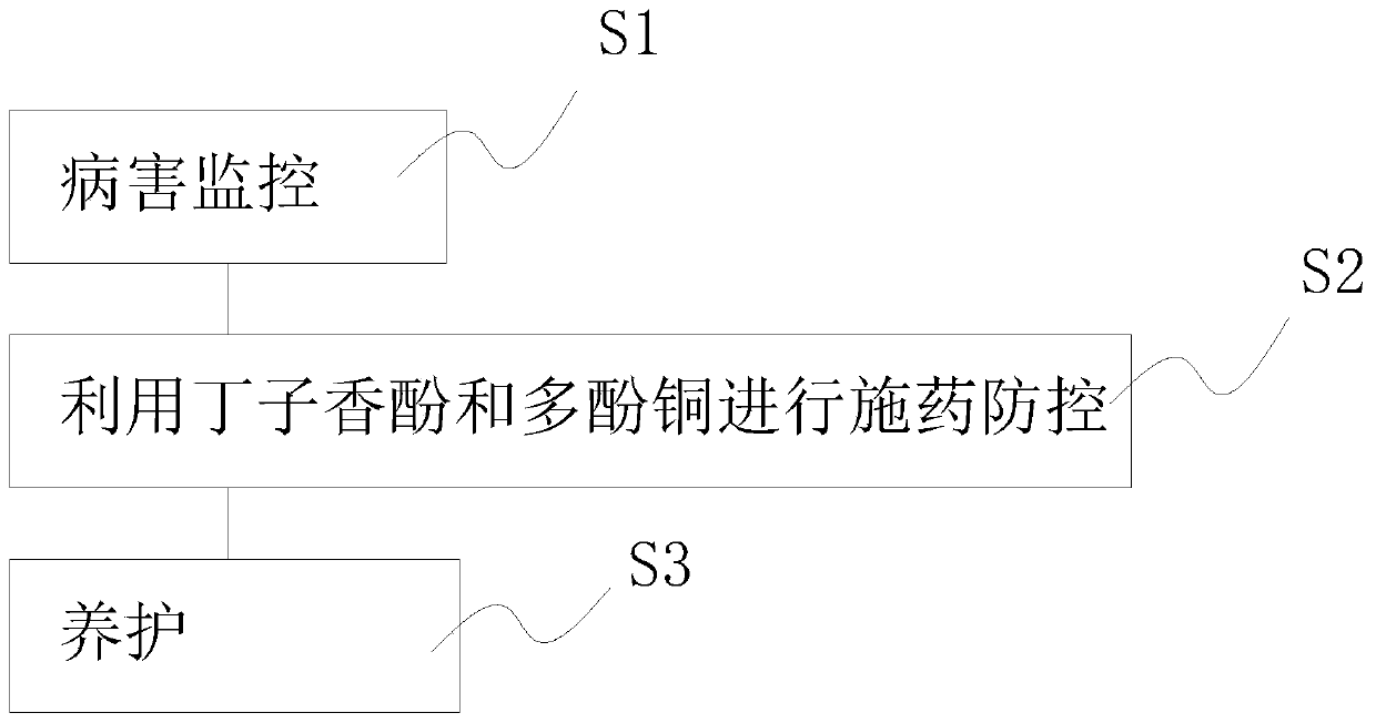 Method for preventing and controlling plant diseases by utilizing eugenol and polyphenol copper