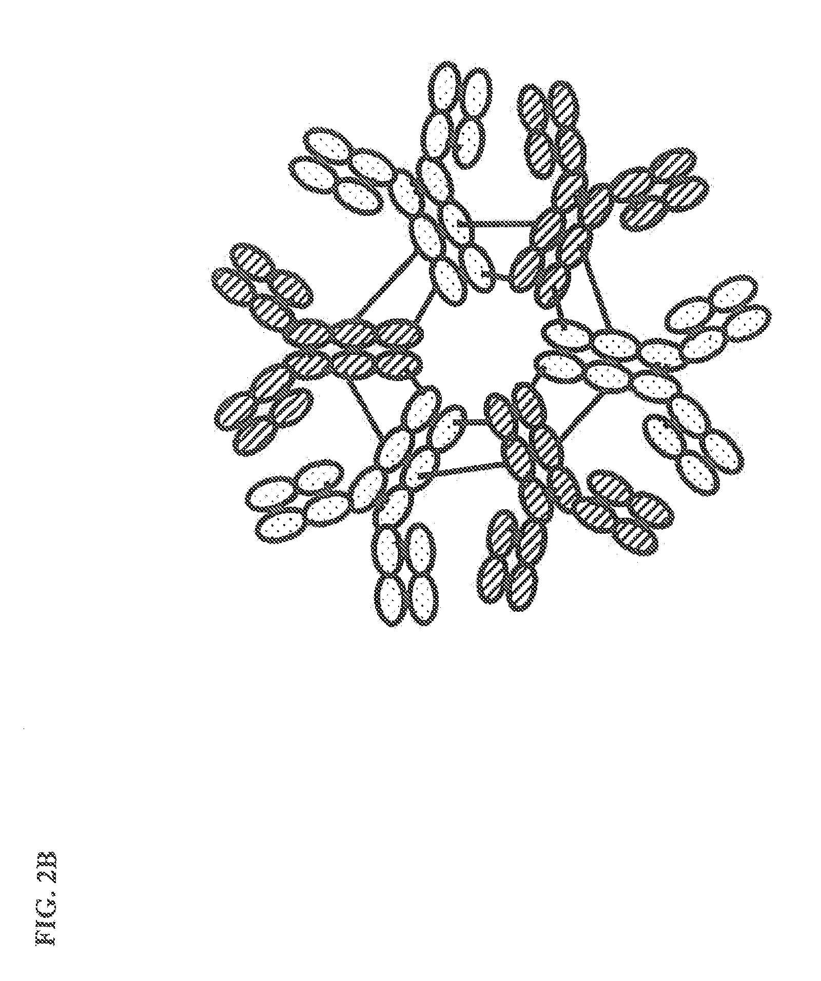 Constant chain modified bispecific, penta- and hexavalent ig-m antibodies