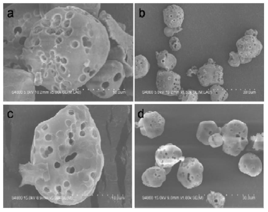 A starch-based microporous hemostatic material with antibacterial properties and its preparation method and application