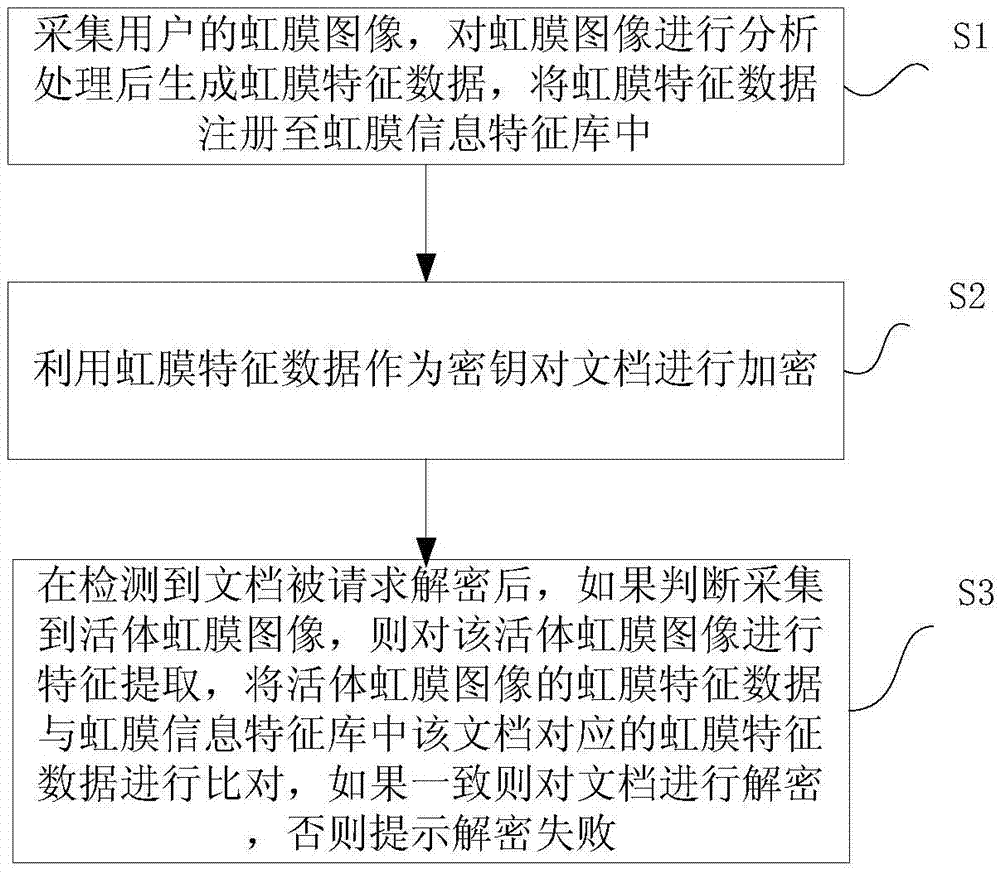 Document encryption/decryption method and apparatus based on iris recognition and authentication