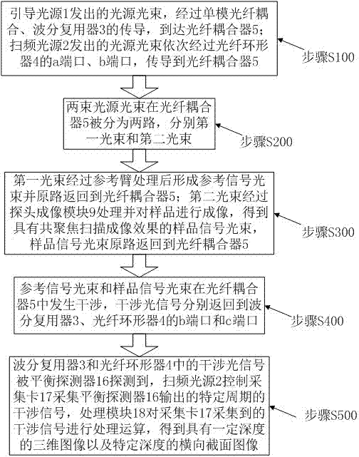 Optical coherent confocal microscopy endoscope system and realizing method