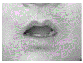 Fatigued drive detection method based on mouth features