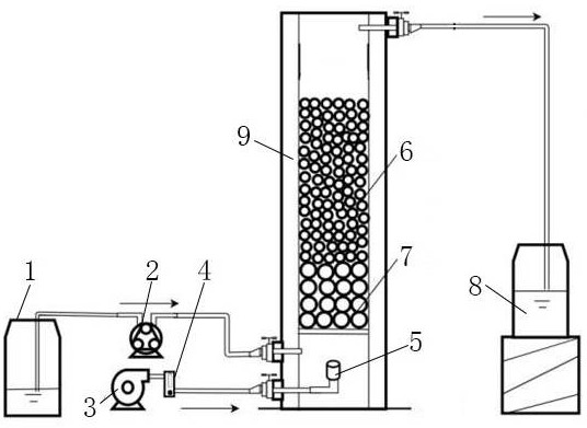 Active biological filter material and sewage high-efficiency nitrogen and phosphorus removal method using the same