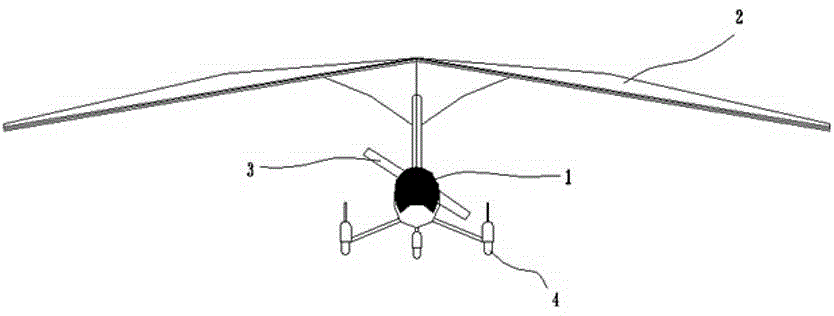 Motor delta-wing airplane model