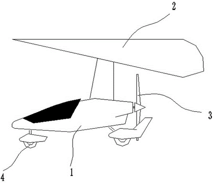 Motor delta-wing airplane model