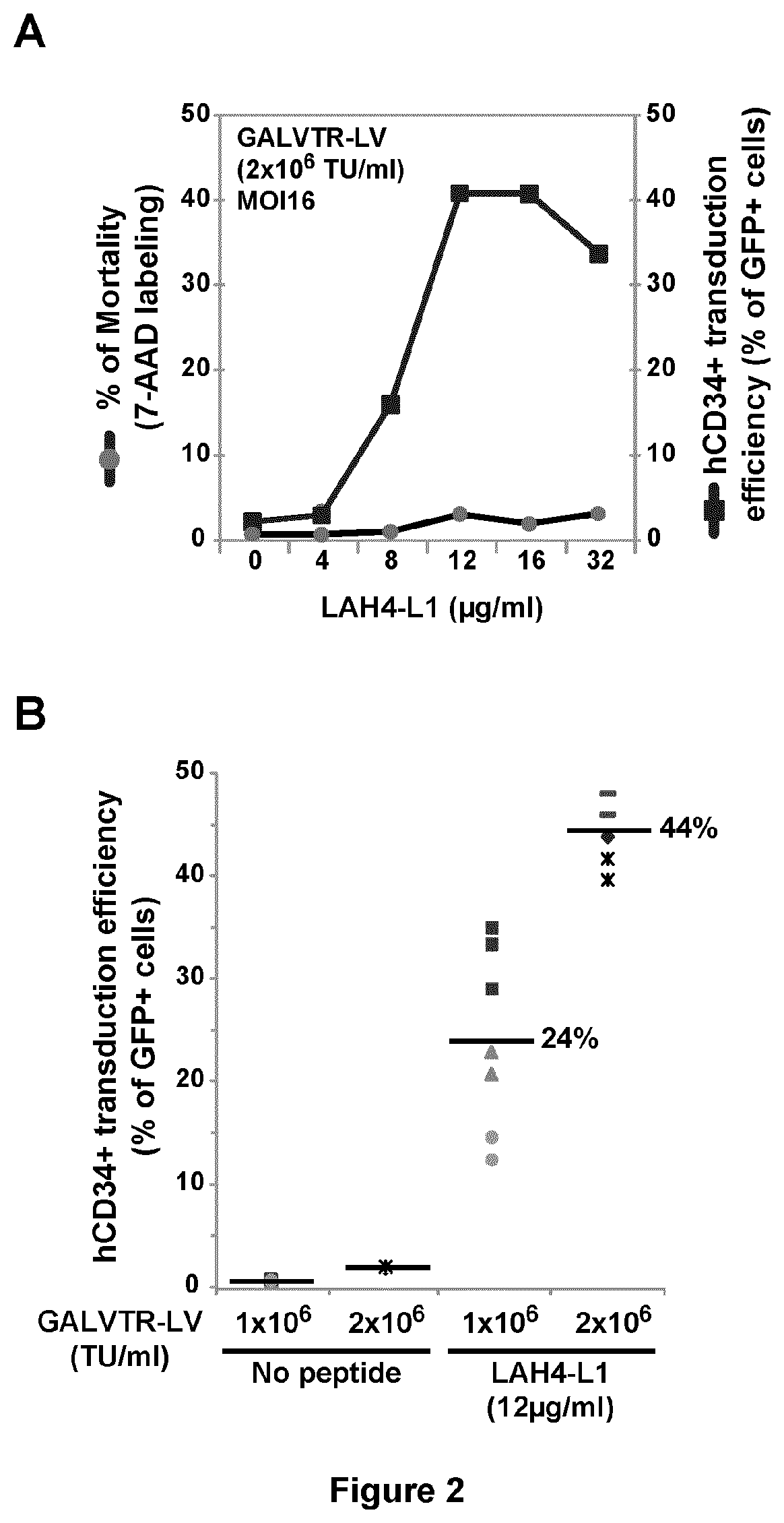 Peptides with viral infection enhancing properties and their use