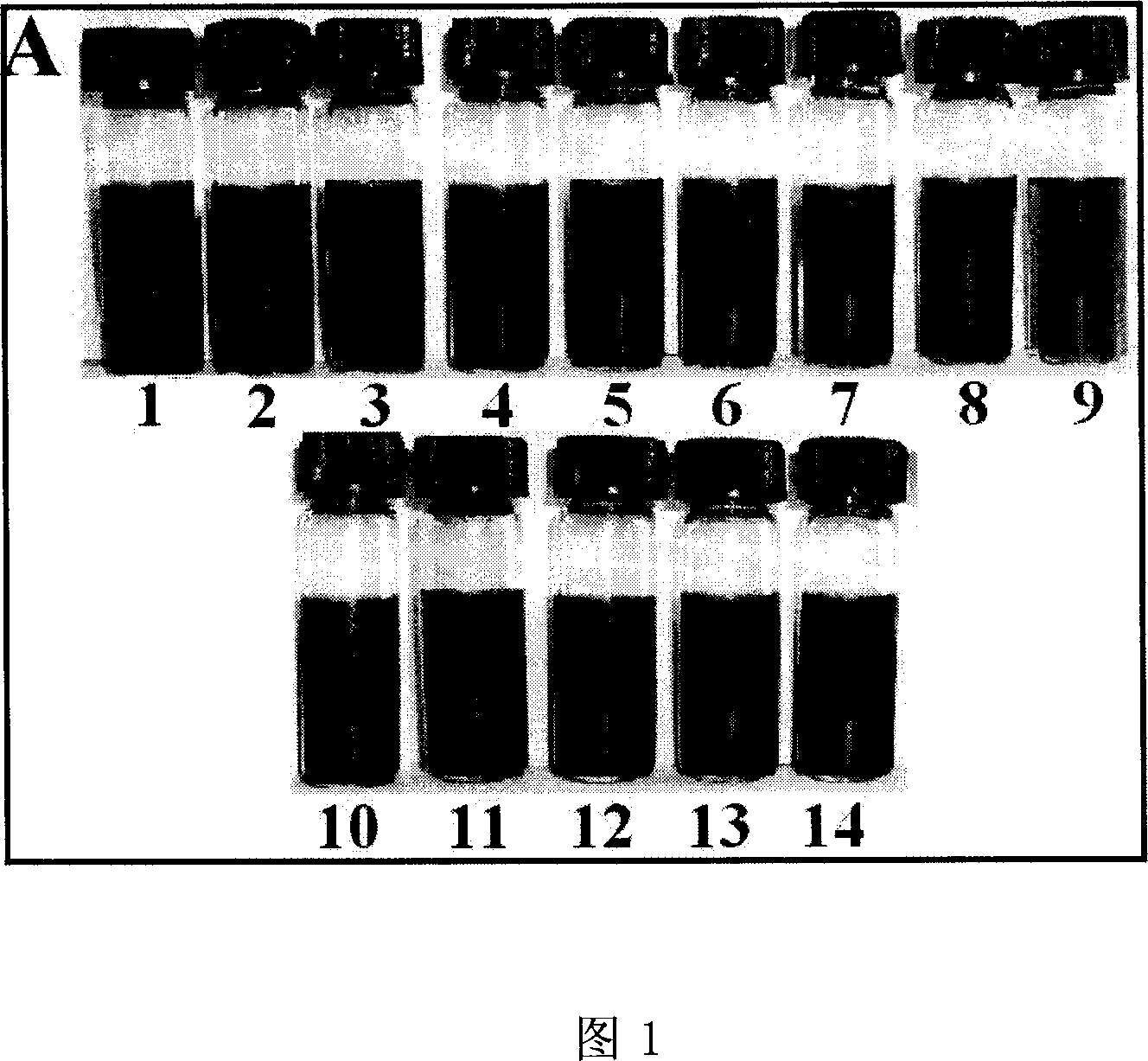 Method for preparing double soluble noble metal nano particle