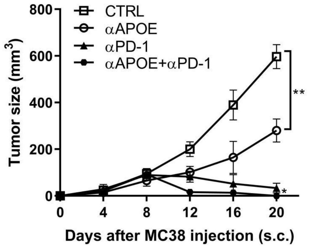 Application of combination of APOE inhibitor and PD-1 monoclonal antibody in preparation of medicine for treating gastrointestinal tumors