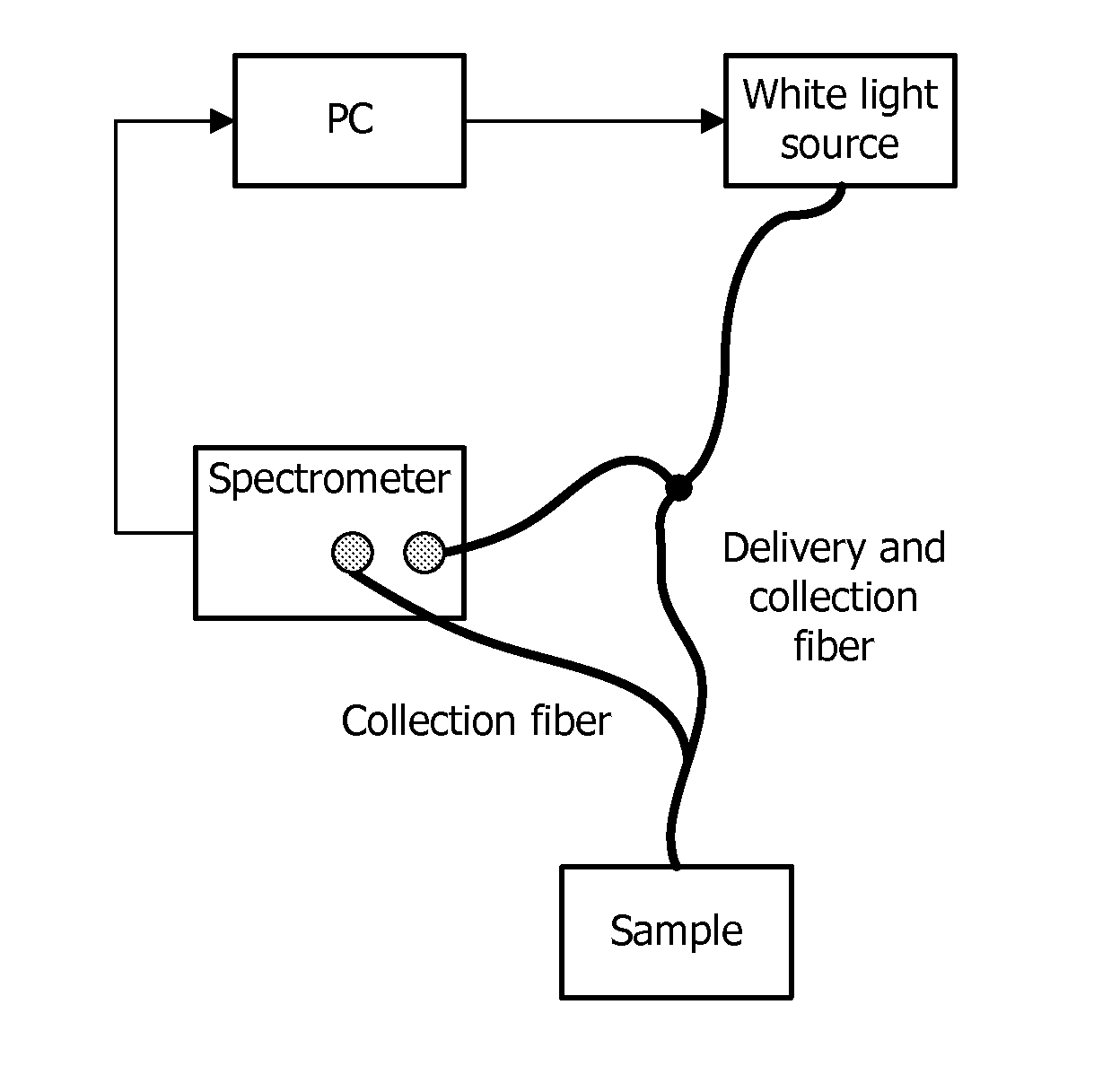 System, computer-readable medium, method, and use for combined epithelial early cancer diagnosis and staging