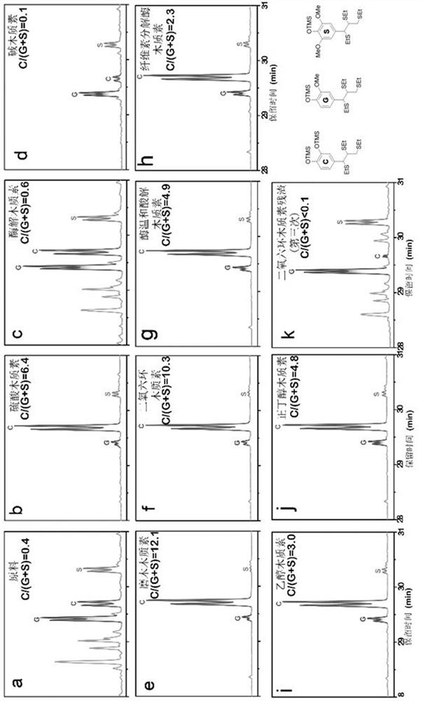 Method for separating C-type lignin and G/S-type lignin from Euphorbiaceae plant seed coats