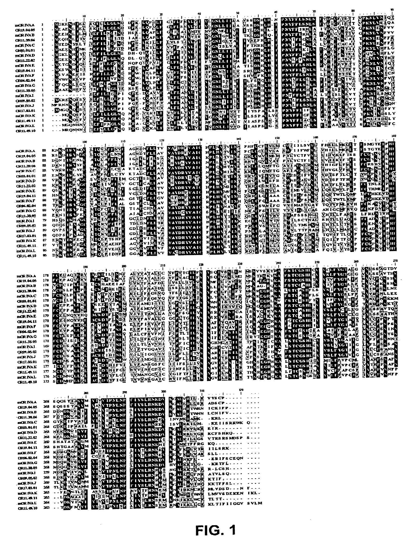 Olfactory receptors for isolvaleric acid and related malodorants and use thereof in assays for identification of blockers