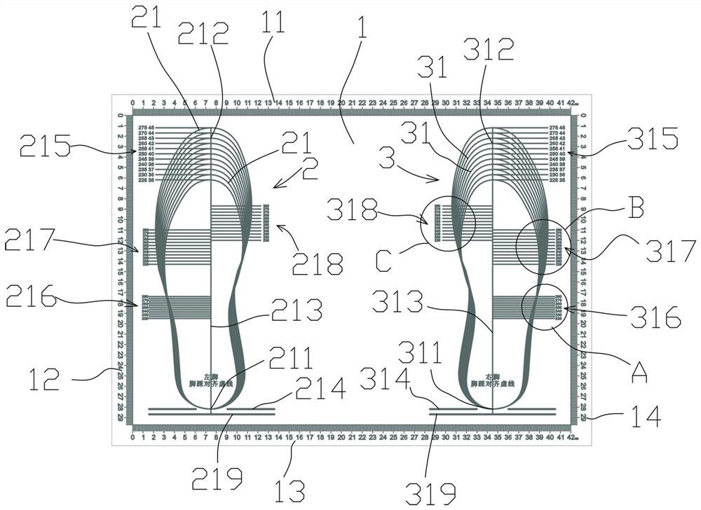 Foot type data rapid measuring pad