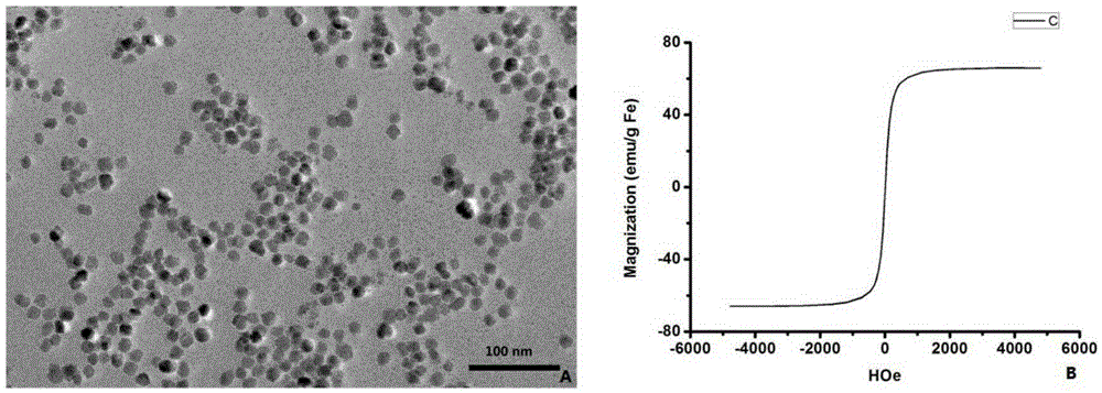 Super-paramagnetic iron oxide nanoparticle compound as well as preparation method and application thereof