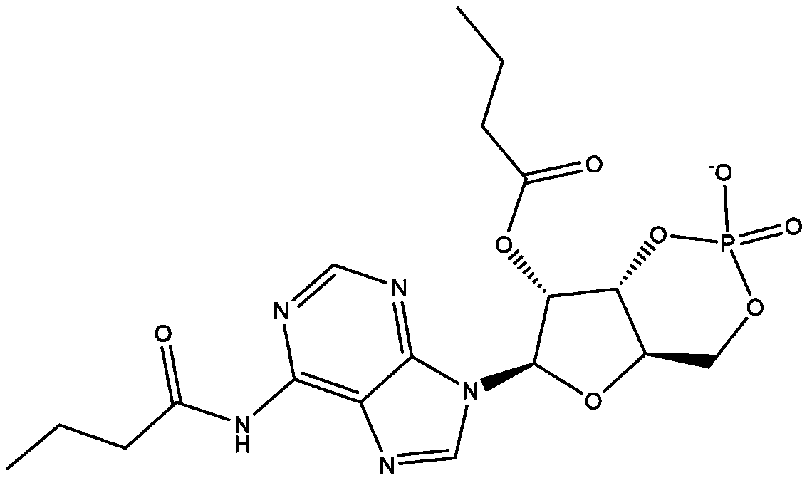 Crystal of dibutyryl adenosine cyclophosphate calcium salt