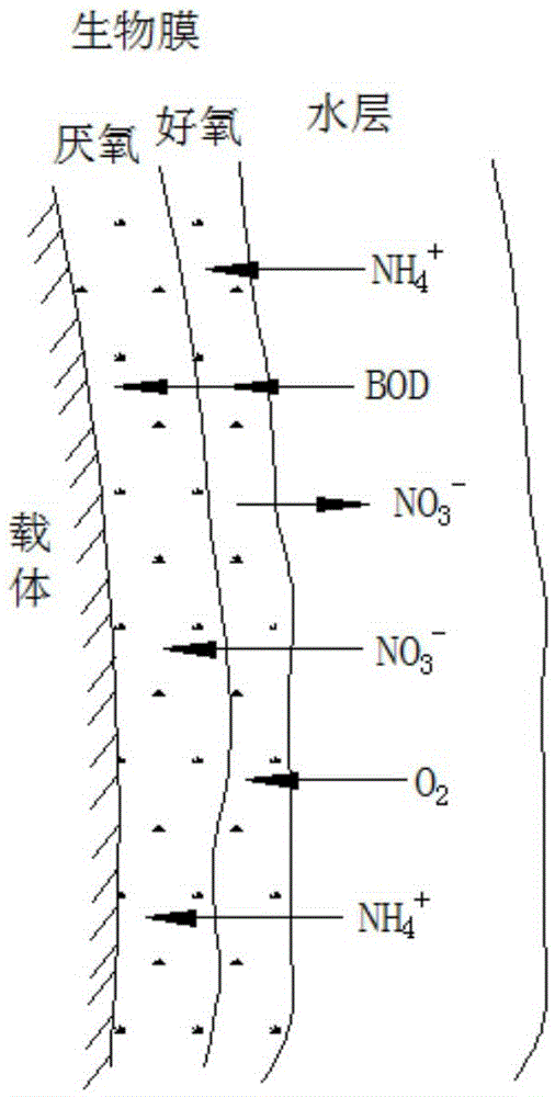 Method and equipment for aerobic/anaerobic biofilter biological denitrogenation