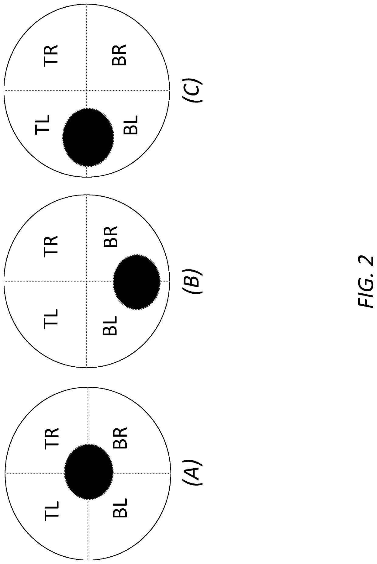 Real-time measurement of visible surface area from colonoscopy video