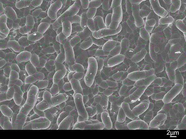 A kind of additive for making texture of polycrystalline silicon chip and its application