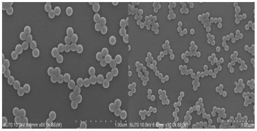 A sulfonated polystyrene@mesoporous silica microsphere with egg yolk-shell structure and its preparation method