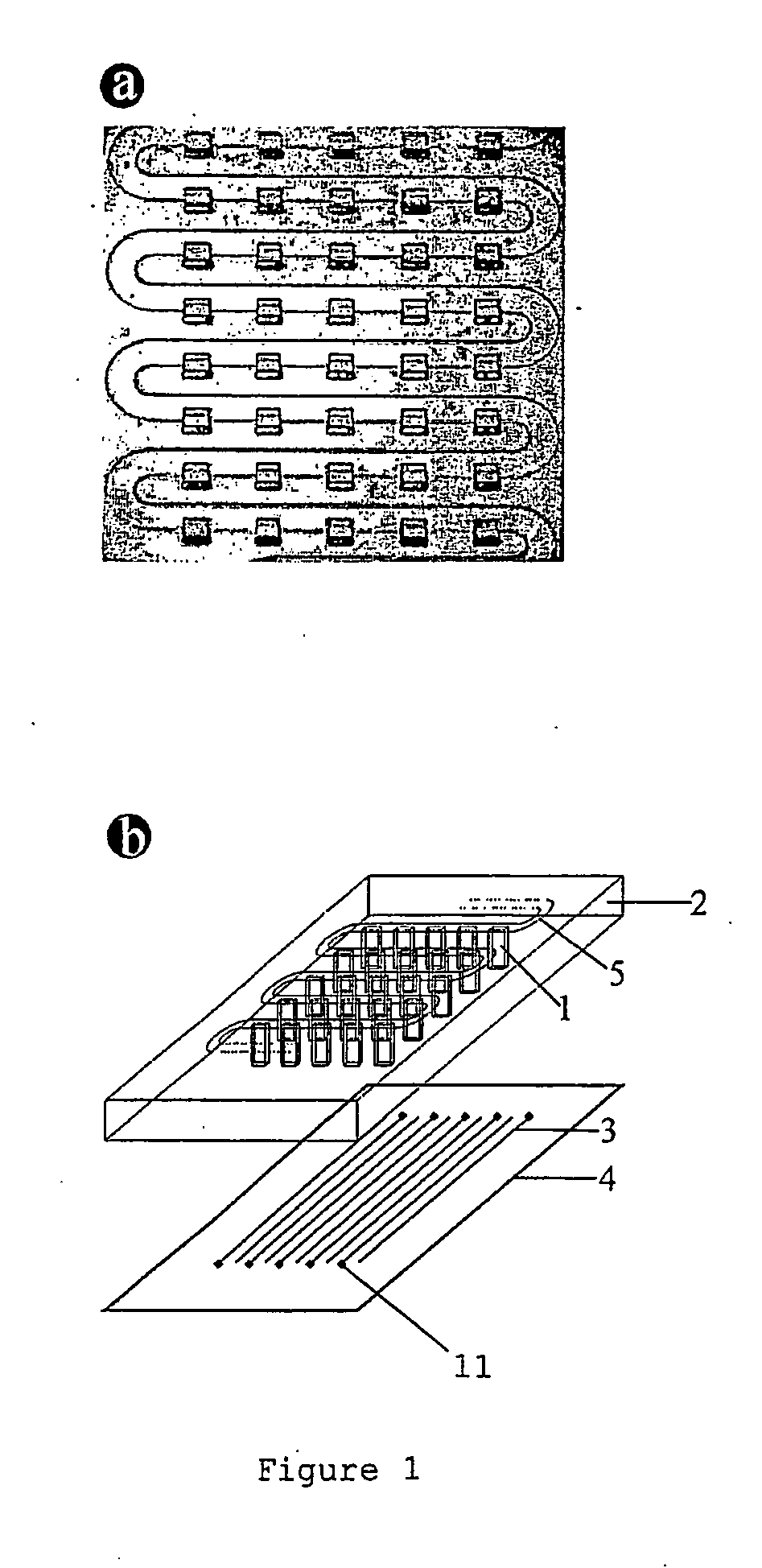 Device for performing cell assays