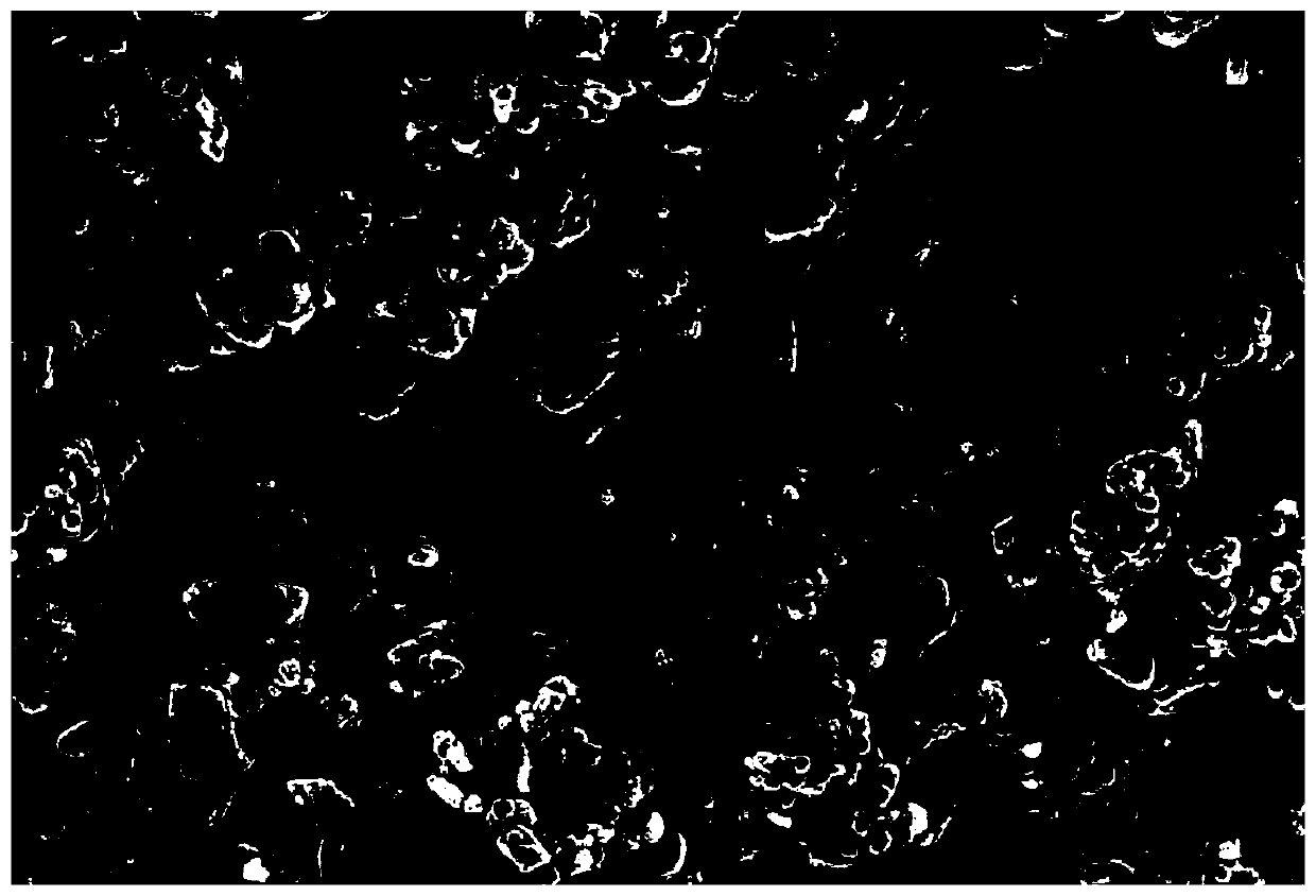 Three-dimensional SnO2/Ag NPs Raman enhanced substrate, and preparation method and application thereof