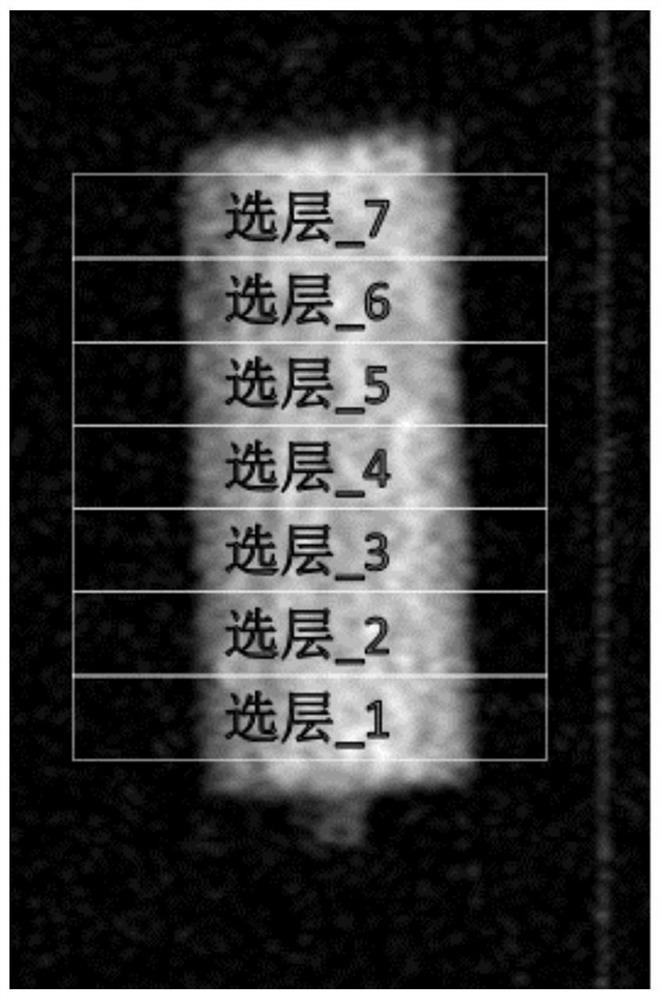 Layer-selecting T2 relaxation spectrum rapid testing method for porous medium